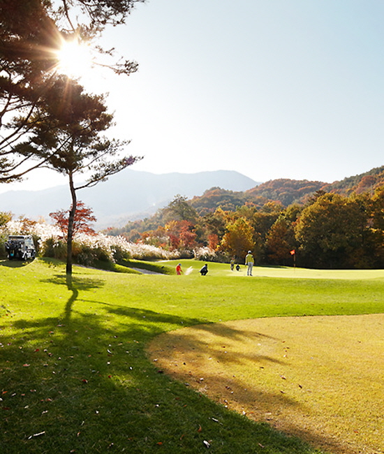 [경상] 상주 블루원상주CC 골프2일 36홀