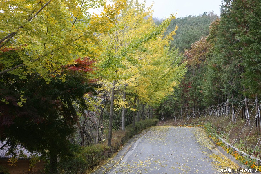 산악 트레킹 로드! 보성 1박2일