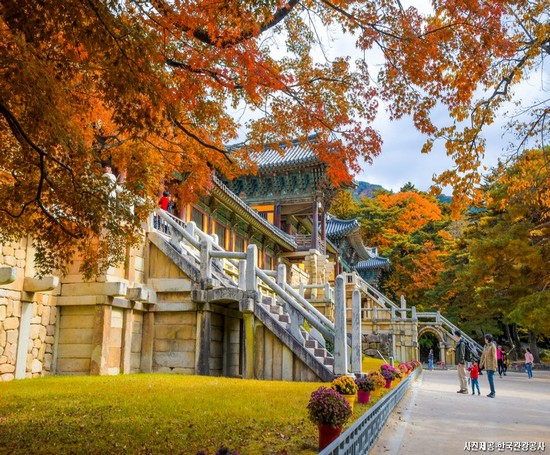 추억이 가득한 경주, 아름다운 바다도시 포항으로 떠나는 여행! 경주/포항 2박3일